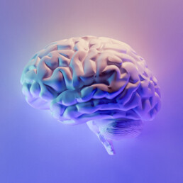 brain illustration violet